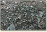 Wolibórz (Góra Garncarz) - kamienie zamkowe